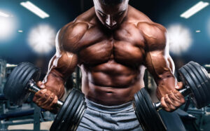 Read more about the article Testosterone Base