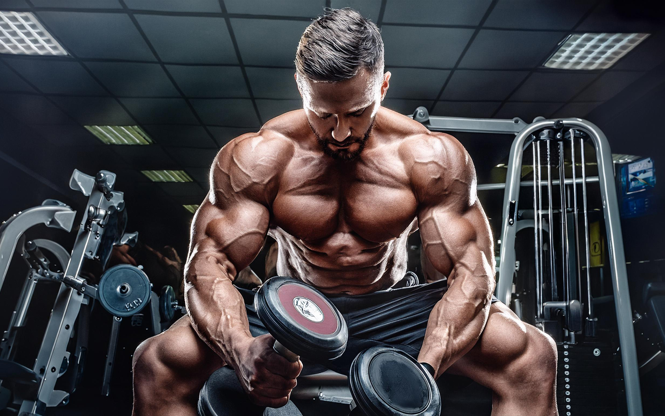 Read more about the article Testosterone Enanthate